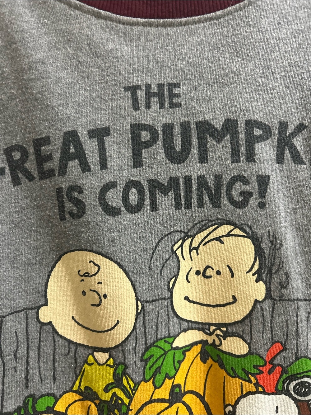 Peanuts The Great Pumpkin sweatshirt size XS - Picture 2 of 5